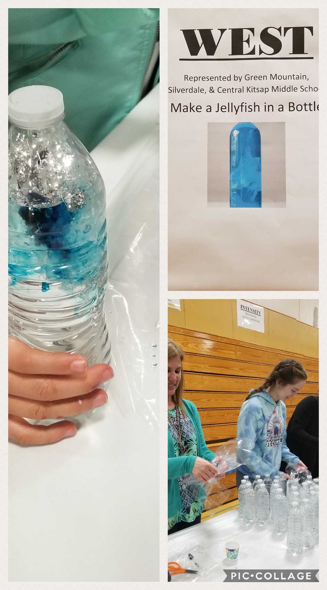 RMSRaiderAP1's tweet photo. ELD Family Biliteracy Night at Ridgetop M.S. - check out our Miss Tina &amp; Ms.Garber at their jellyfish station! @CentralKitsap https://t.co/GZCQym9zay