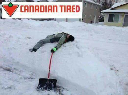 MeghLand's tweet image. #canadianspring