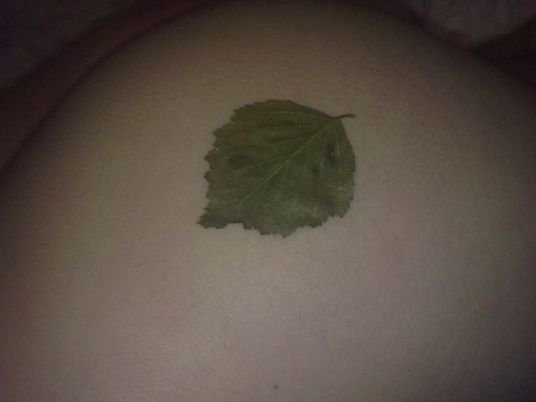 Русская баня. Банный лист прилип. Как банный лист значение фразеологизма. Банный лист прилип. Как банный лист значение фразеологизма.