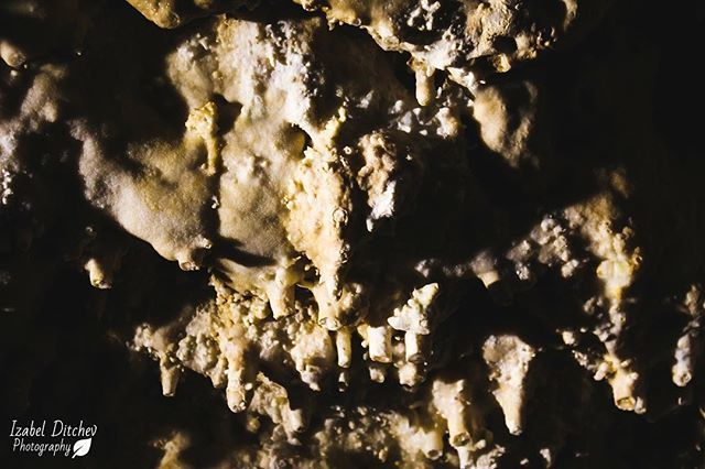 Izabelditchev's tweet photo. #cave #caveformations #rock #rockformations #underground #limestone #stalactites #earth #motherearth #nature #naturephotography #naturelovers #natureporn #naturegram #macro #macrophotography #photography #photographer #wisconsin #wisconsinphotographer #w… https://t.co/59clcmJa9w https://t.co/md7Egqjvsq