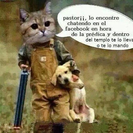 Vicente Menchu (@vicentemenchu1) on Twitter photo 