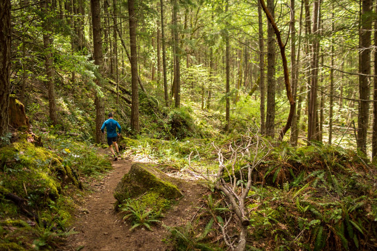 islandtrailrun's tweet photo. Spots for Mt. Tzouhalem are flying out the door! 14 spots left in the short course! 

https://t.co/uV9PXRHlwd

Photo by Matt Cecill Visuals https://t.co/BxbDztc6Nb