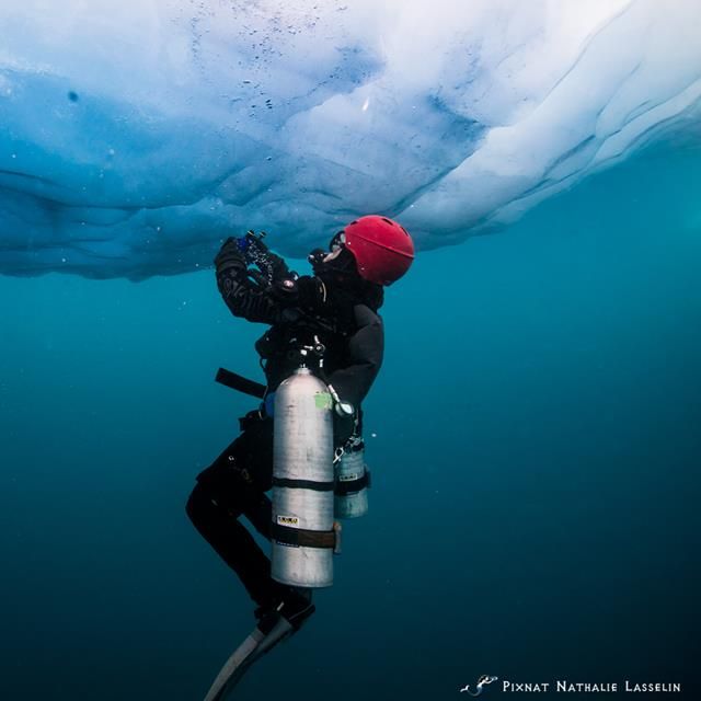 Doing a scientific dive of 44 miles/30 hours in the depth of the St Lawrence river in Montreal, to better know the river in a urban environment : 
contribute to their campaign right here: makeachamp.com/urbanwaterodys…