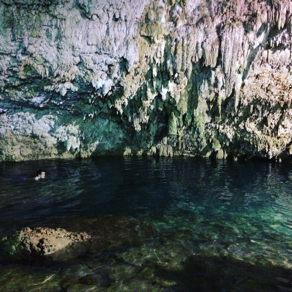cvalhouli's tweet photo. Choo-Ha cenote near the Mayan ruins of Coba. There are so many cenotes to choose from but we picked this as it was a perfect place to cool off after cycling through the jungle #cenote #chooha #Traveling https://t.co/50zKraDP5E