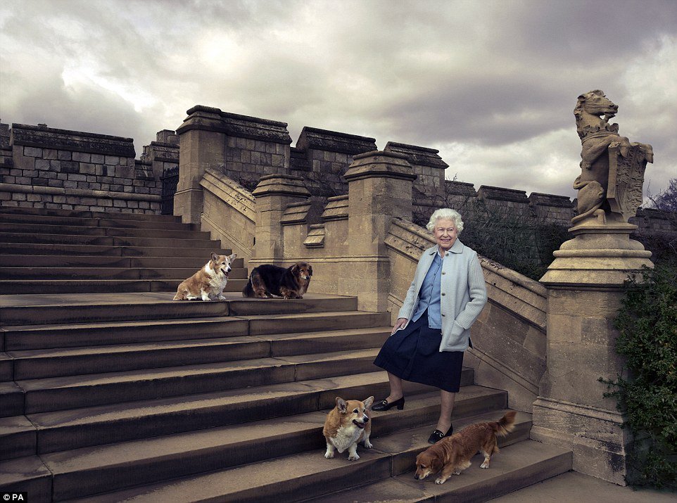 crownchronicles's tweet photo. The Queen’s last corgi, Willow, has been put to sleep https://t.co/v76ZH9untK https://t.co/hqvvYeFLxL