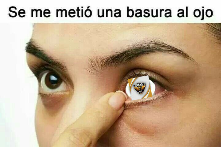 Lucho20 tweet media