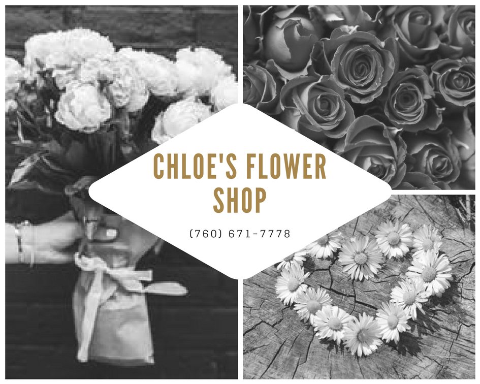 Flowersby_Chloe's tweet photo. Chloe's Flower Shop specializes in providing exceptional floral arrangements for weddings, special events, birthdays, quinceaneras, special occasions, holidays or gifts. Stop by and see our great selection of flowers. (760) 671-7778 #ChloesFlowerShop #Flowers #Gifts #Bouqets https://t.co/GSZ1A545Fd