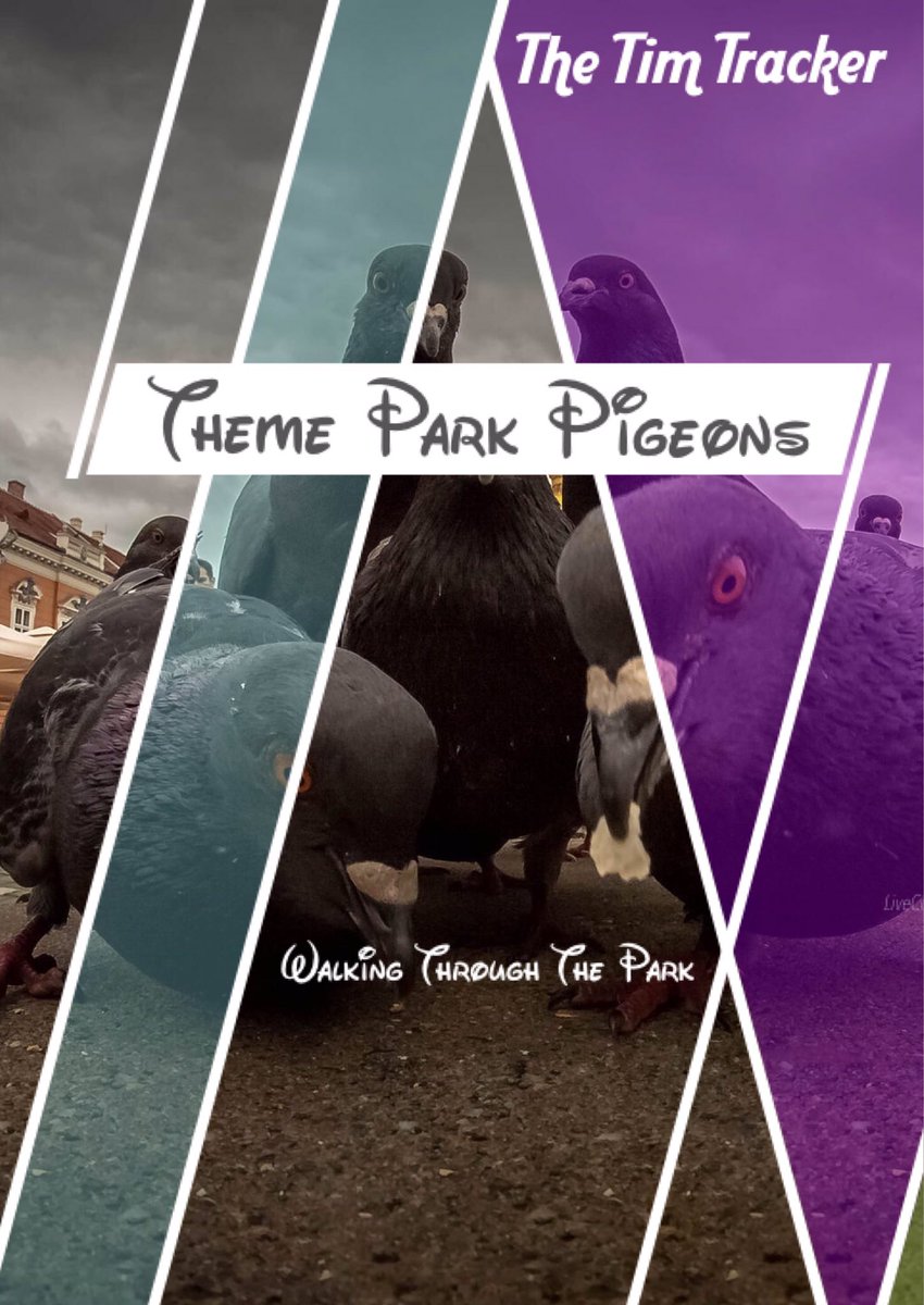 cannyunicorn's tweet photo. Just sat patiently waiting for this to hit the ITunes chart. @thetimtracker @TheJennTracker 
#themeparkpigeons 
#topalbumof2018

P.S I need a theme park pigeon Tracker tshirt in my life. https://t.co/JrAOYEp0jg