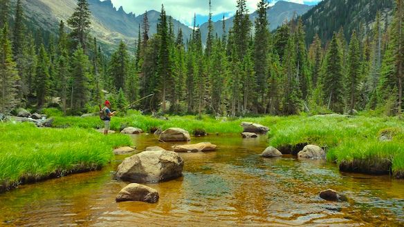 2guysandariver's tweet photo. It's spring (somewhere), and the hatches will be coming fast and furious. Here's where to cast your fly: https://t.co/JGVop66TzL #dryflyfishing #flycasting #springflyfishing https://t.co/1jdewBSnCv
