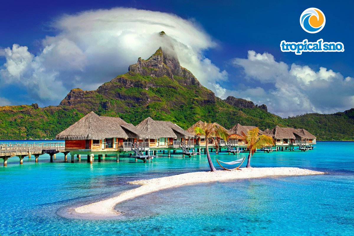 Tropical Sno tweet media