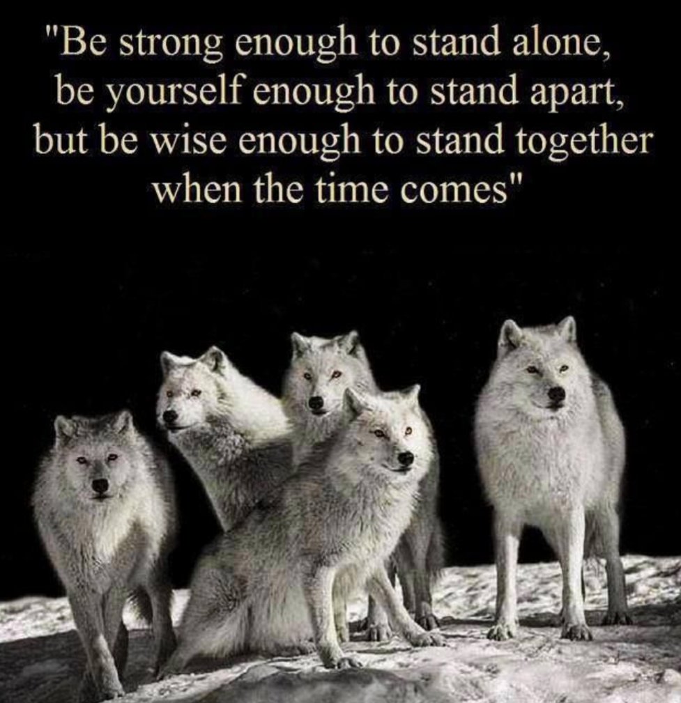 baldyman71's tweet photo. So much truth in this statement. These last couple of months have shown me all of the below is very true  #powerofthewolf https://t.co/cpsQxbC1gl