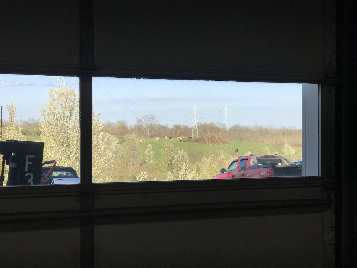 TheGnarlyGnome's tweet image. How many breweries in Cincinnati have a back window that looks out at cows? @ABCBrewing #SoftOpen
