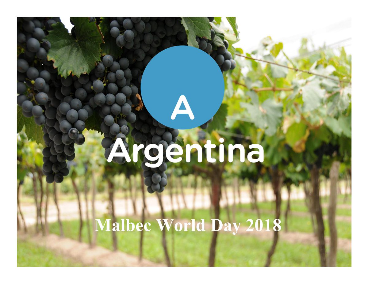 lgbtargentina's tweet photo. CELEBRANDO EL #MALBEC ARGENTINO, se trata de un caso emblemático en el que un país logra la asociación directa con un varietal, lo rescata del olvido y marca un paradigma en el panorama global del vino.
#Argentina #Ccglar #VisitArg #AmorArgentina #MalbecArgentino https://t.co/rRsvnZ5FBM