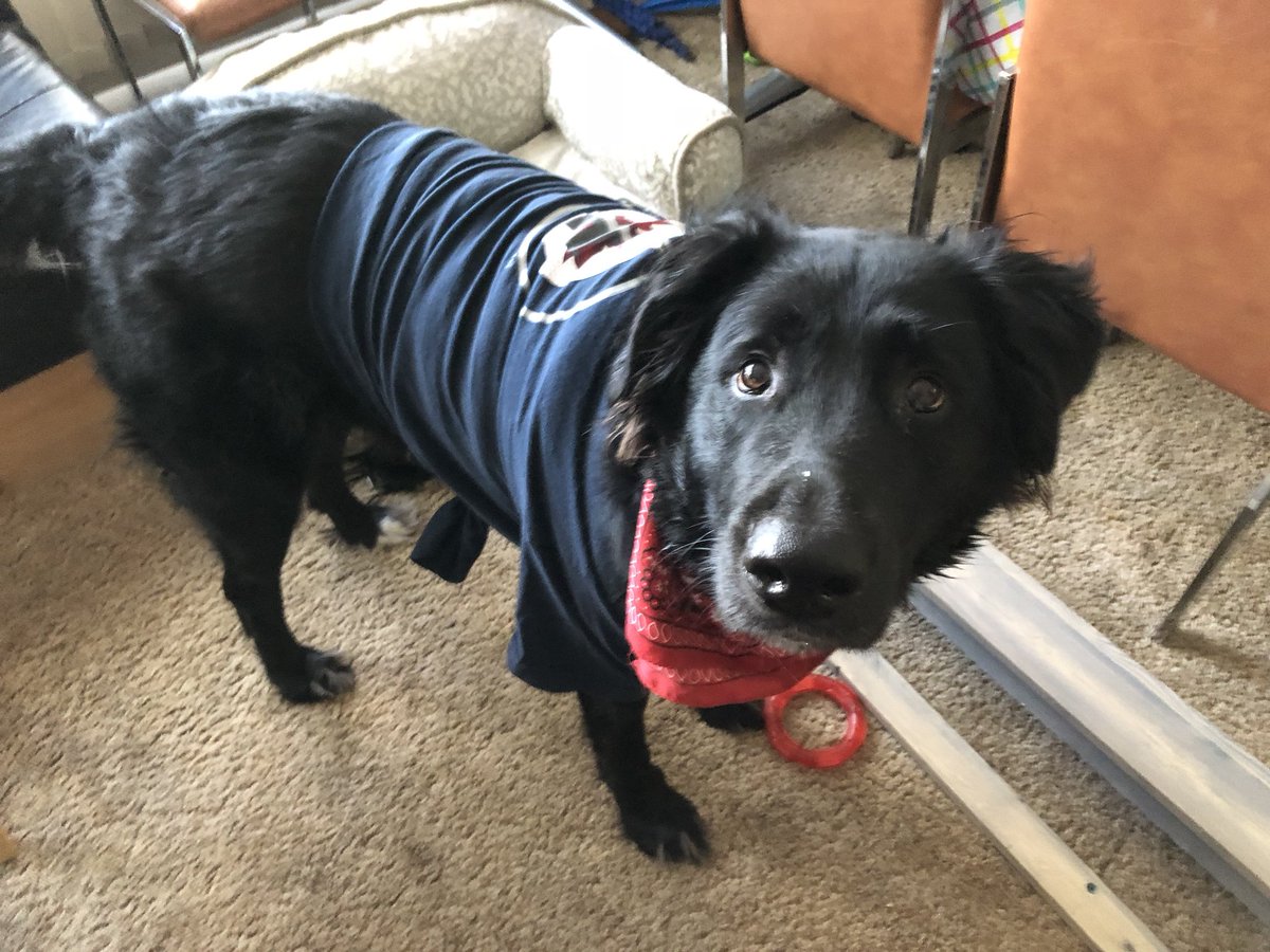 mrs_twf's tweet image. Found out today my brother in law’s big galoot wears a men’s size large 🤣😂 #GoJetGo #smellymarshmelly