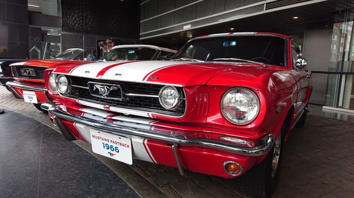 FordColombia's tweet photo. La celebración inicia con los más recorridos de esta historia #Los54deMustang. https://t.co/LU6fZ9Uuhf
