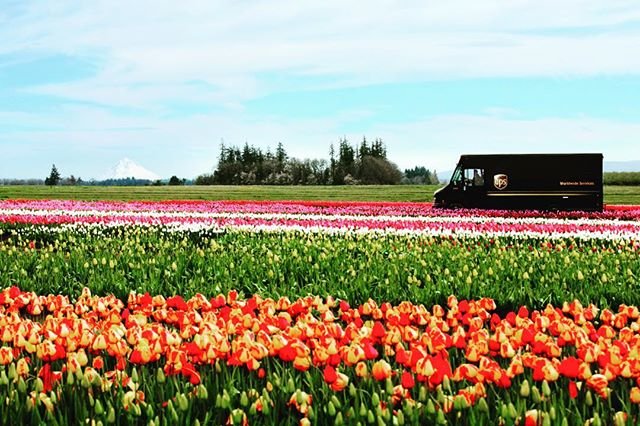 Jeff Nelson tweet media