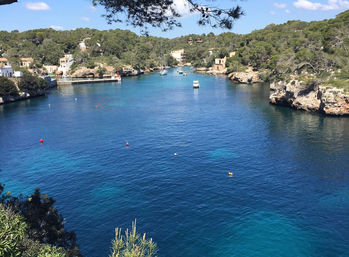 IMTrinews's tweet photo. Via @bastian_mller 
O U T D O O R D I S C O. 
#tag4 #mallorca #trainingslager #158km #bikesession #mallorca #triathlon #triathlete #bikespell #rasowear #cycling #bikeride #sunnyday #road2roth #triathlontraining #trilife #silentroad #tri #methelmets #oakley #sun  #trainingday https://t.co/T6YqjnvJHg