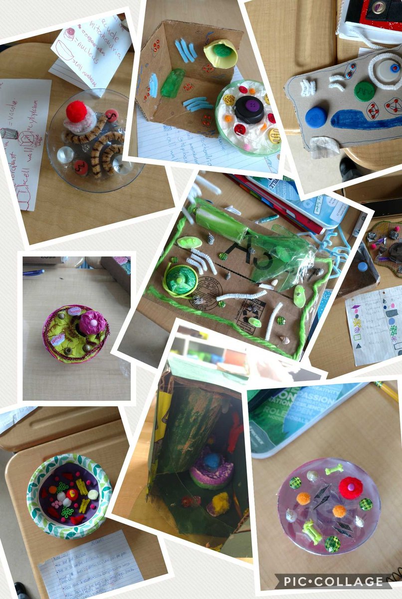 LCaralivanos's tweet image. &quot;Creativity is intelligence having fun.&quot; Our schoolwide theme in action! #cellmodels #cell-ebrate