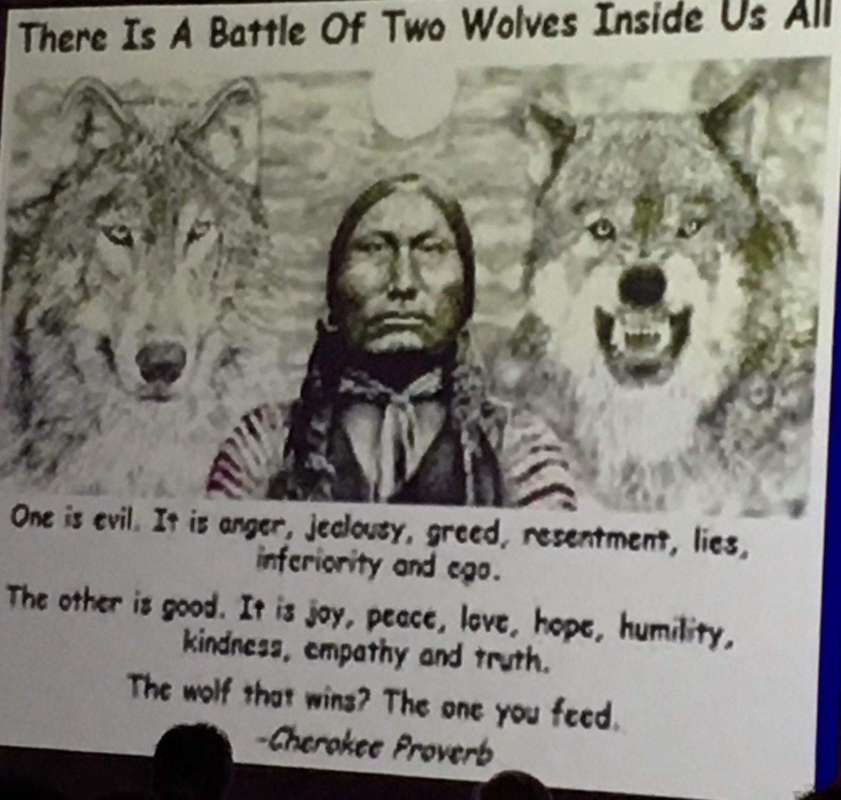 ryanmgatto's tweet photo. Which wolf are you feeding? Teaching our students that today may be bad but, tomorrow will be better is just as important as literacy and numeracy! #NPDL #tbcschools @DrJeanforkids https://t.co/39yjrsfWle
