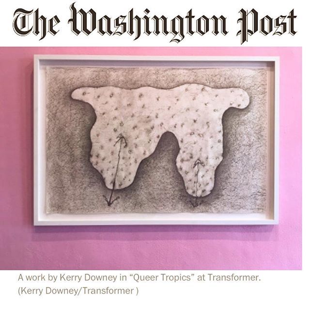 transformerDC's tweet photo. ‘Queer Tropics’ featured in this weekend’s Washington Post! Stop by this week before the exhibition closes THIS Saturday, April 21st!!!
.
.
#transformerdc x @pelicanbomb #pelicanbomb #queertropics #washingtonpost https://t.co/pZ3zhGjbwf https://t.co/80oPFCf9tA