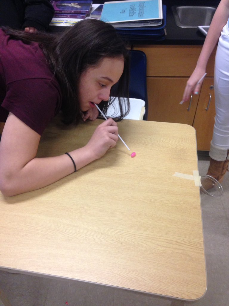 LDubsGatestone's tweet image. Jelly Bean Races! #colourchallenge #class78