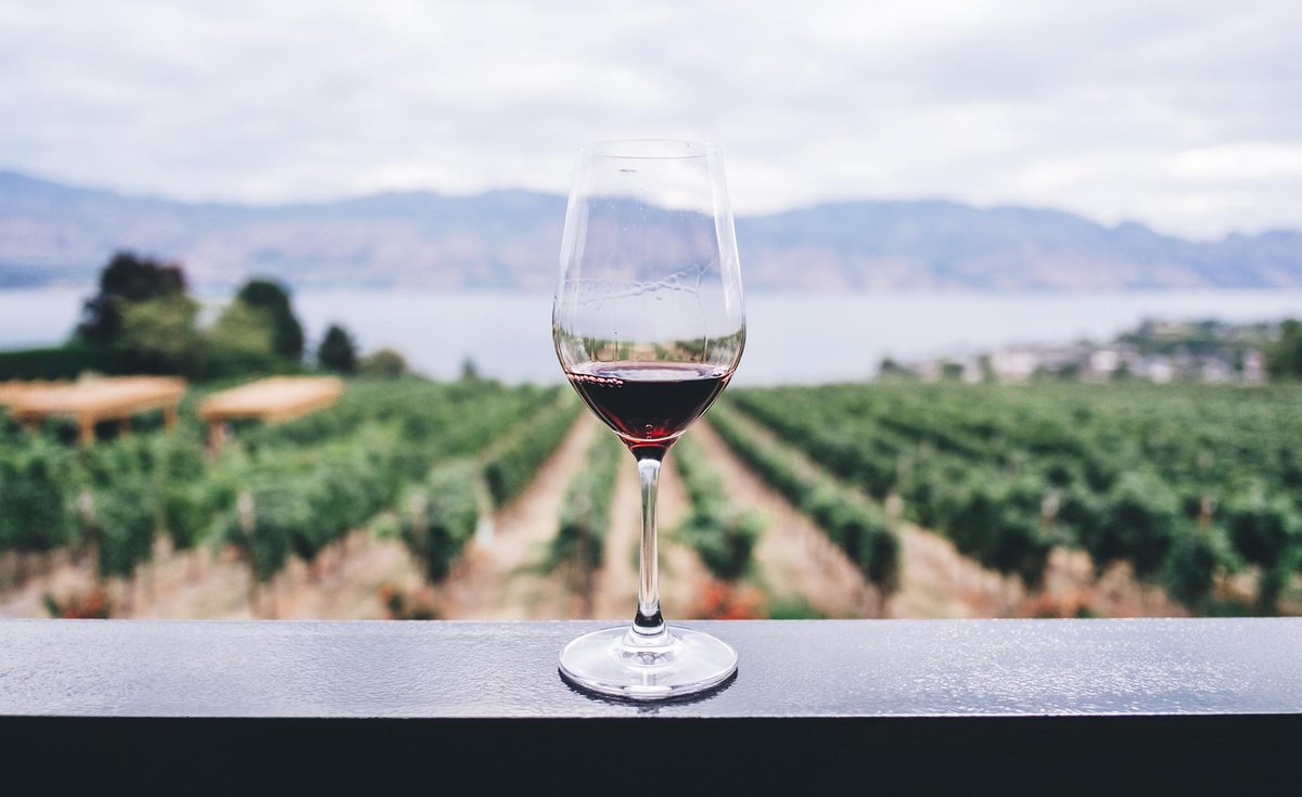 livingluxmag's tweet photo. Do you want to reduce the amount of pesticides in your diet? Here are three @TDMulligan - approved #organicwines. https://t.co/Vp48U0u5QB https://t.co/ZrRVxFK6ZR