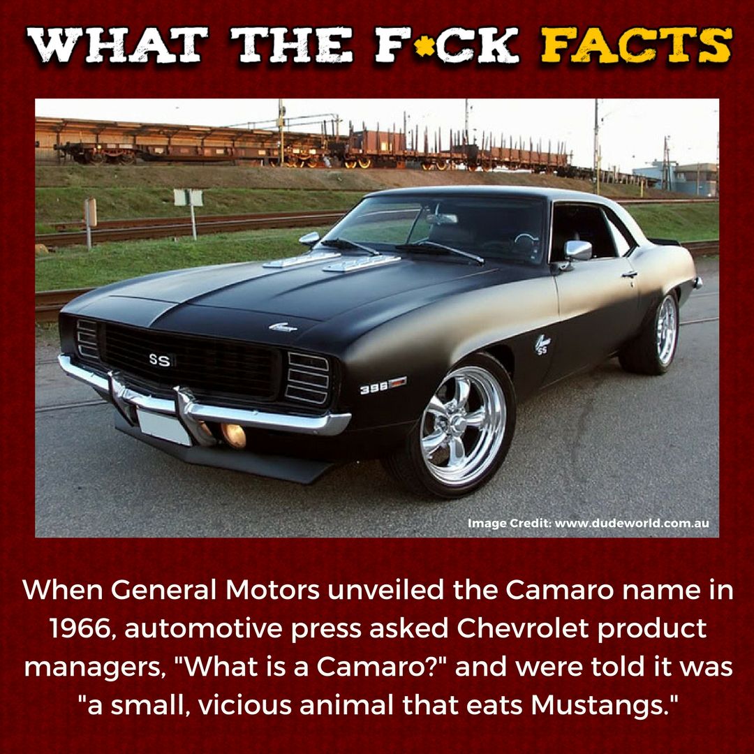 WhatTheFFacts's tweet photo. https://t.co/jkaDNFv7gA