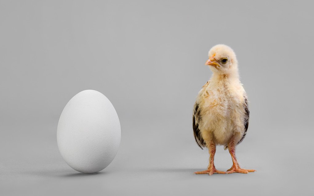 Healthy Examiner tweet media