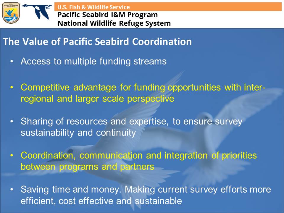 BobbKaler's tweet photo. 4/4 #WSCT4 #ManPolPlan1 We have learned that working together provides numerous advantages, including increased access to funding opportunities, shared expertise & resources, and integration of seabird science and conservation. Thanks for your time! Questions? https://t.co/FPTun5inXz