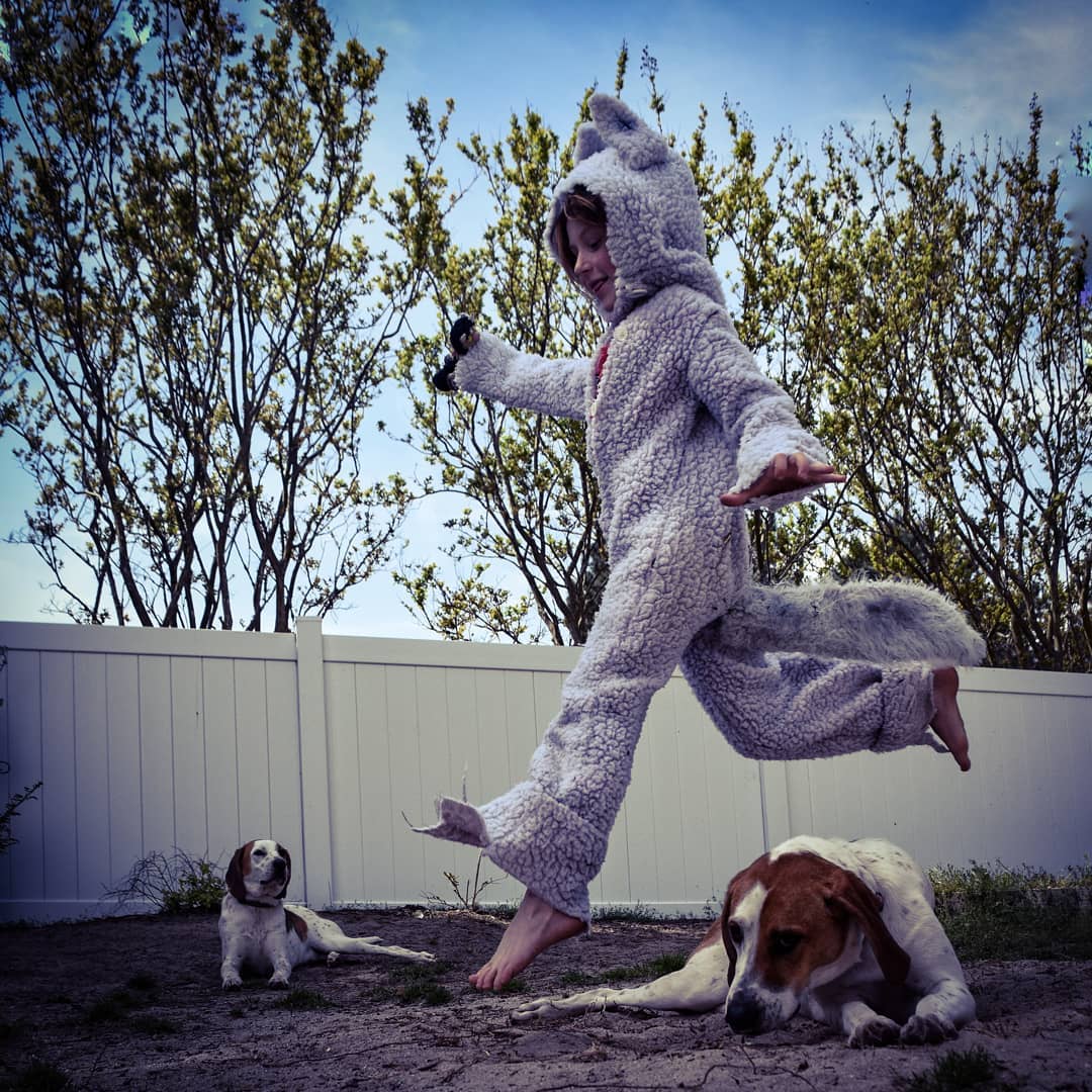 instagram's tweet photo. Let the wild rumpus start! #WHPwildthing https://t.co/3Xf0kbxzxQ https://t.co/vrmmRowXSl