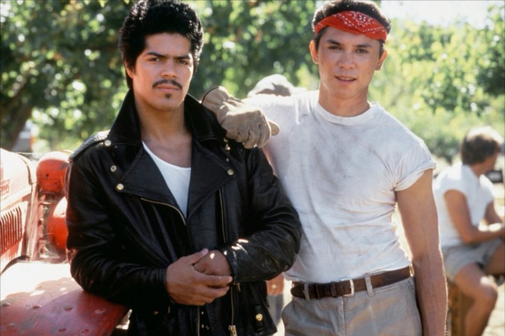 aka_Elias's tweet photo. Let’s see @TemporaryKJ ... 4 films that define me. #FilmStruck4

#Halloween (1978)
#LaBamba (1987)
#ElMariachi (1992)
#PansLabyrinth (2006)

#Carpenter #Valdez #Rodriguez #DelTorro https://t.co/cdoBUwcdTL