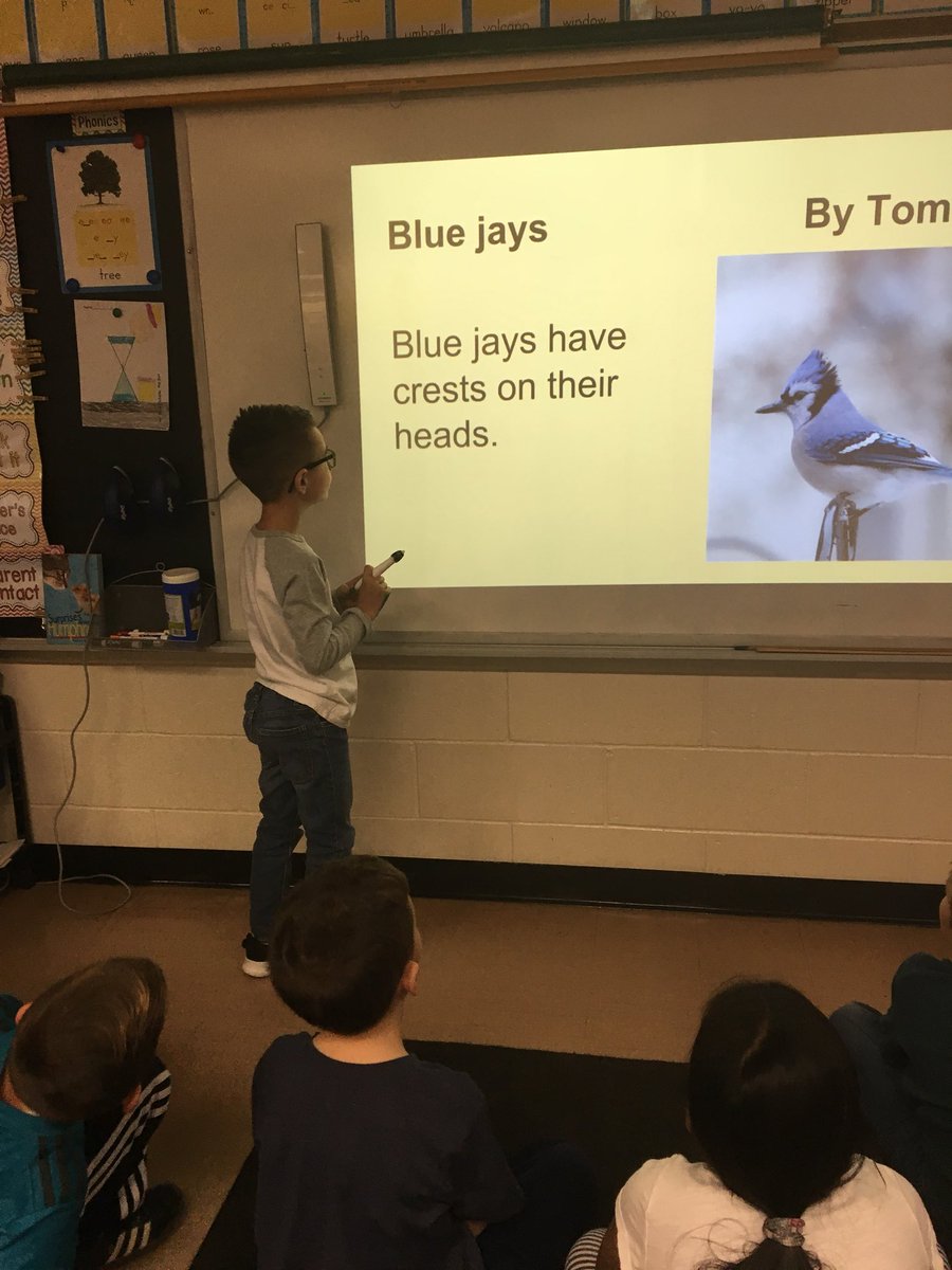 Traci O'Neill tweet media