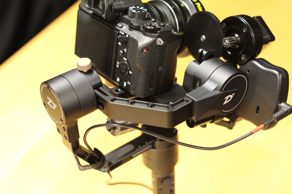 Motion Dogs tweet media