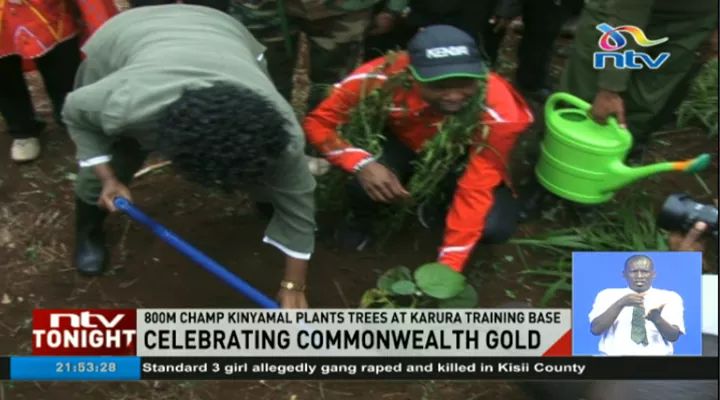 Tanui_lily's tweet photo. #treePlantKe @Environment_Ke @ceackenya @environment254 @ItsPettyWap Celebrating commonwealth gold: 800m Champ Kinyamal plants trees at Karura training base #NTVSport @Watts2k @ntvkenya This should be embraced by all athletes and celebrities!Congratulations Champion Kinyamal! https://t.co/H5MasDVjmP