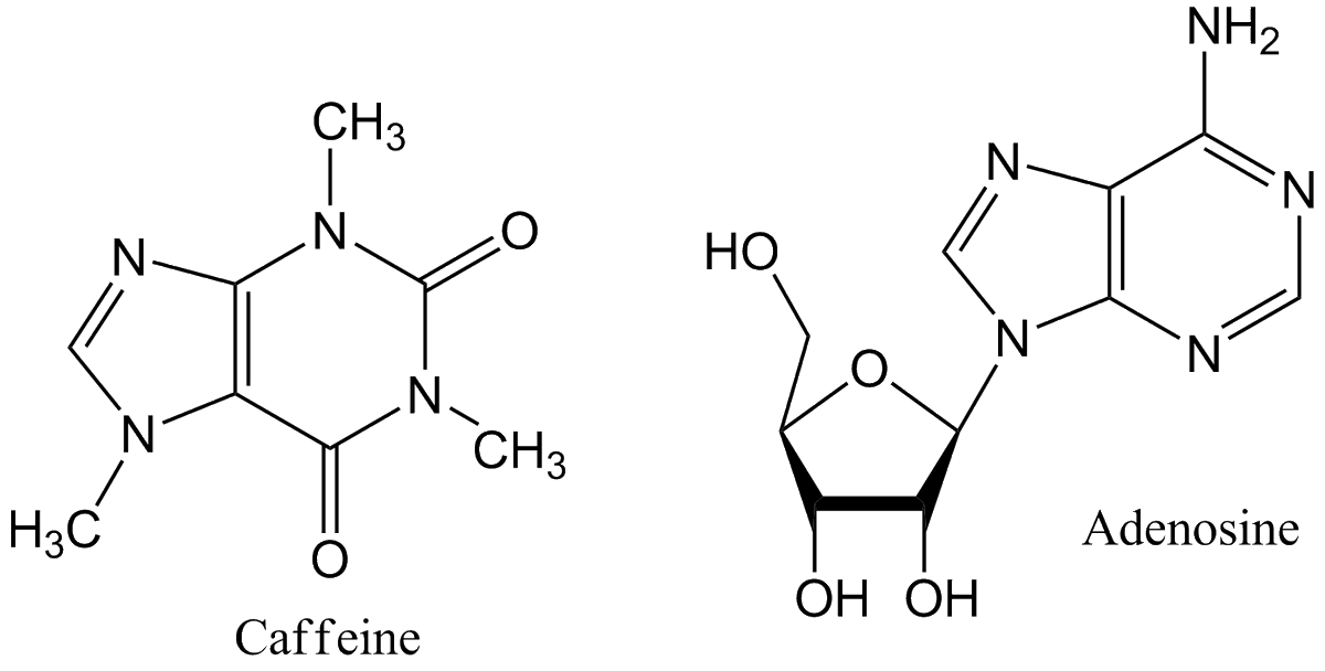 KratomCommerce's tweet photo. @DoomsdaysCW @KhanDoomy Kratom is feeling the heat too.  Organic means to changing the mind is the best.
Caffeine can be considered dangerous and could have reason to be controlled; there are actually deaths due to it each day.  Adenosine receptors on caffeine....#adenosine #savekratom #kratom @US_FDA https://t.co/doc6q1el3C