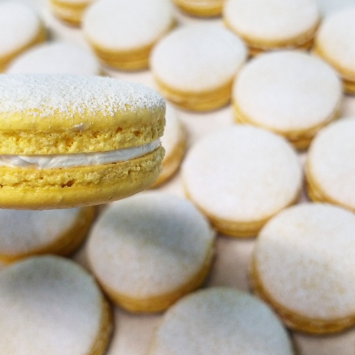 WhippedUpYEG's tweet photo. Have you tried the new Lemon Fizz yet?! Sweet and sour with a little fizzy surprise!
It's reminding me of that precious thing spring..
Find it at Sherwood @SPFMarket Wednesday and @citymarket104 on Saturday this week!
#sunpleasecomeback #wemissyou #yeg https://t.co/9gMorqjvLf