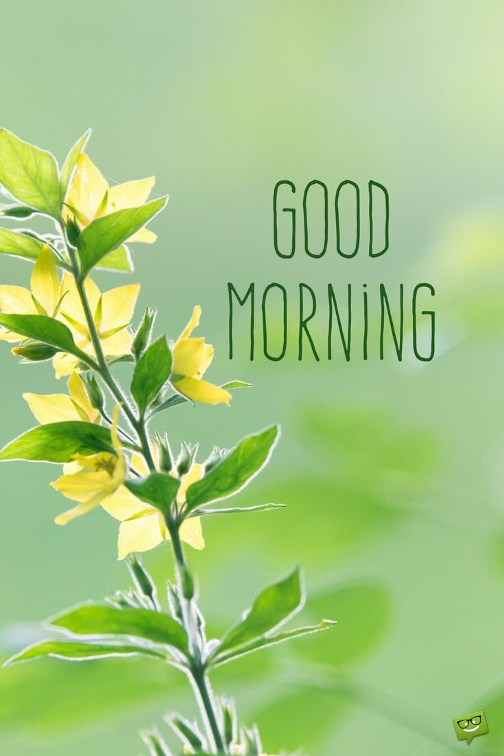 belatiwangsa_hq's tweet photo. Good Morning 😀 https://t.co/ngqOIG4jGf