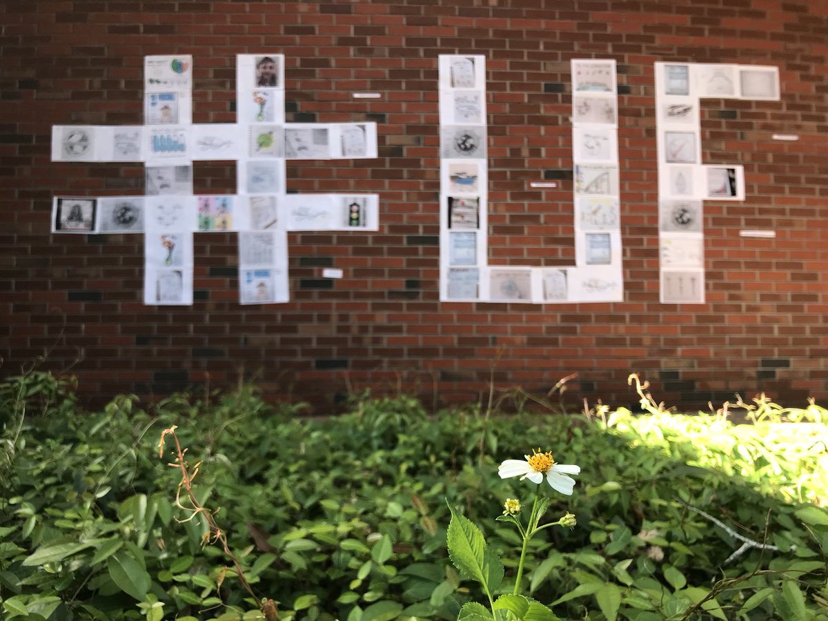 JocelynWidmer's tweet photo. This semester @UFdcp students have been creating #datadrawings on #globalhealth issues. Vote on your favorites in the link below and check out the semifinalists at Turlington! https://t.co/VhTeIjdr4x #ufsigh https://t.co/rjhNIbtCzY