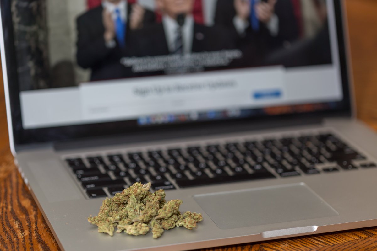 tomangell's tweet photo. UPDATE: Trump's FDA has now received at least 4,997 public comments on marijuana rescheduling.

Have you weighed in yet? Make your voice heard…

https://t.co/eII4x7QjfV https://t.co/zYkpKH0COj