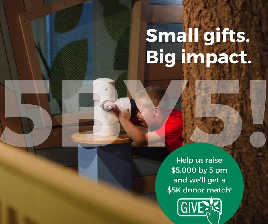 Please help us raise $5K by 5pm on April 18 during the #GreatCommuntyGive! If we meet this goal, a generous donor will match it! Donate at hrgcg.givebig.org/c/HRGCG/a/iexp…