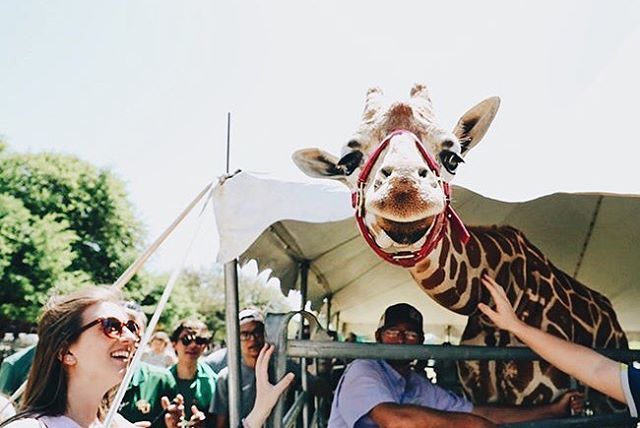 such a fun DIA! thx for the fun, @bayloruniversity !! ift.tt/2vnoZpW