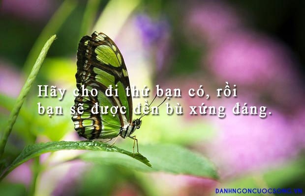 badanduy's tweet photo. #badanduy chào cả hãy theo dõi và chia sẽ cùng mình nhé https://t.co/OPcBbrVe04