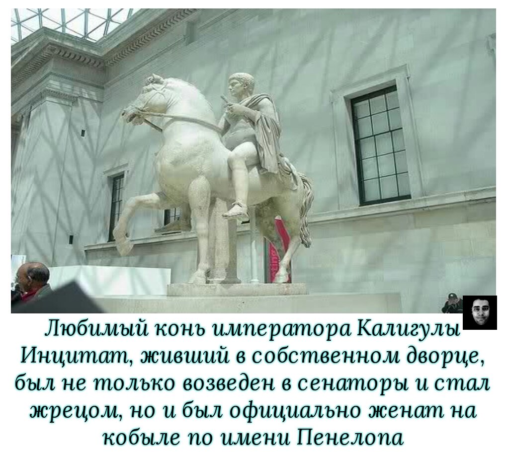 как звали коня императора. лошадь юлия цезаря. как звали коня императора. сенатор рима конь. император калигула и конь инцитат.