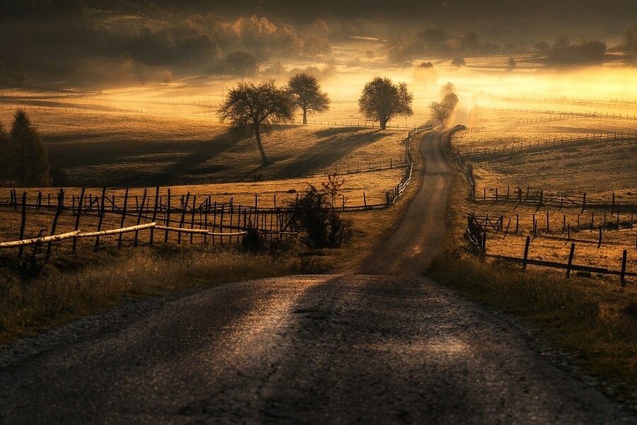 andrespeneke's tweet photo. Golden path by Adnan Bubalo ✅ https://t.co/XC3kFc8qLR