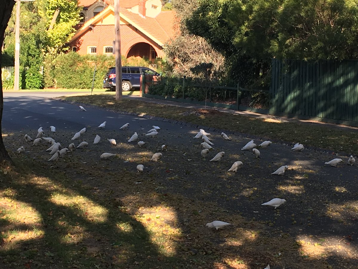 Alex Tesch tweet media