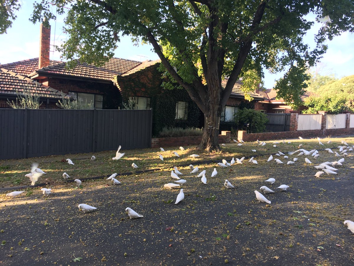 Alex Tesch tweet media