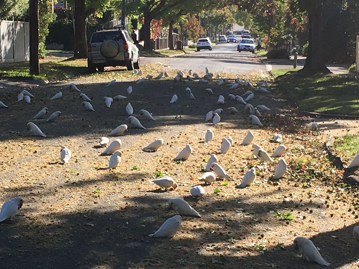 Alex Tesch tweet media