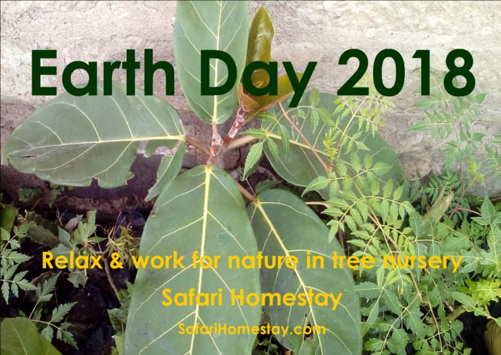 Kwitu Safari Homestay tweet media