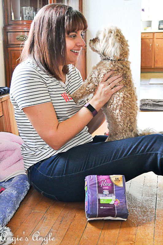 Penguinsangel's tweet photo. #ad Click here - - https://t.co/0VnFIn3z4q - -

Find your perfect @poise light bladder leakage need and live life to the fullest. Great #coupons and #rebates can be found too!

Visit - - https://t.co/0VnFIn3z4q - - for your #PoiseMoment https://t.co/mnavXQm697