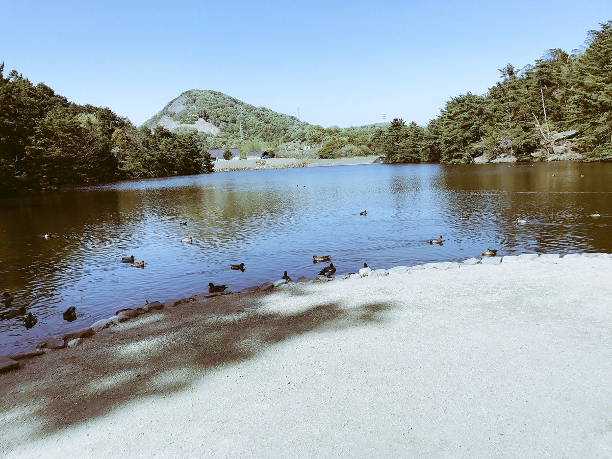 ottanottan's tweet photo. みやま公園行ってきた😋💓
餌やりめっちゃ楽しかった〜〜

以上。 https://t.co/Y1bgj317nV